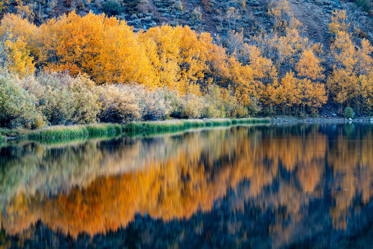 Fall reflections at north lake bear bishop, ca