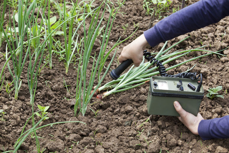 Cropped hand of person holding machine by plant
