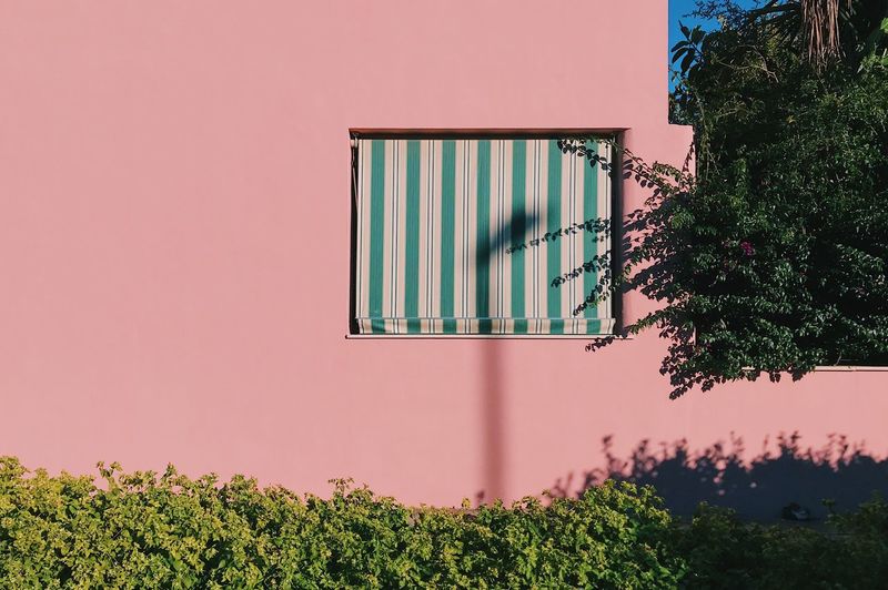 Architecture Growth built structure building exterior window no people outdoors iPhone Photography iphonephotArchitecture Growth Built Structure Building Exterior Window No People Outdoors IPhone Photography Iphonephotography (null) IPhone IPhoneography Minimalist The Week On EyeEm Iphoneonly Natural Light Minimalism Minimalobsession Minimalist Architecture Pink Pink Color The Graphic City