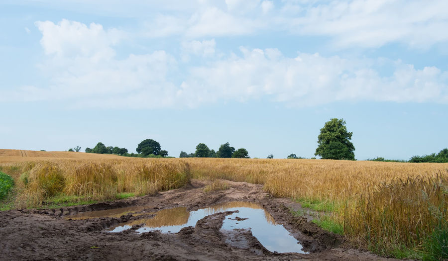 Scenic view of mud puddle in field against cloudy sky