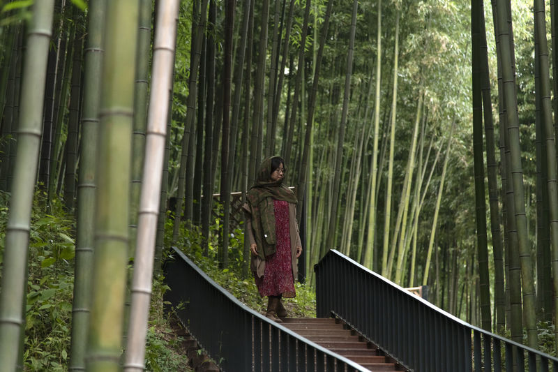 View of a woman in the bamboo forest