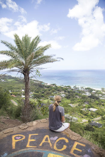 Rear view of man sitting on rock by sea against sky