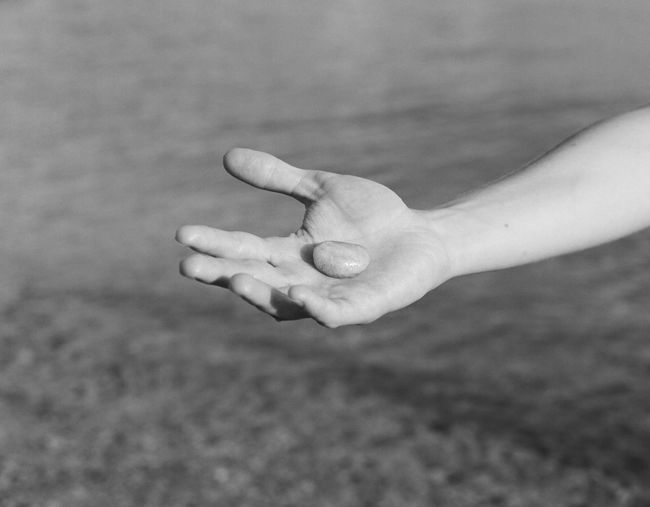 Close-up of person hand holding leaf against blurred background