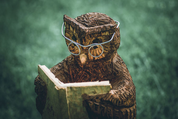 Crafts wooden owl reading