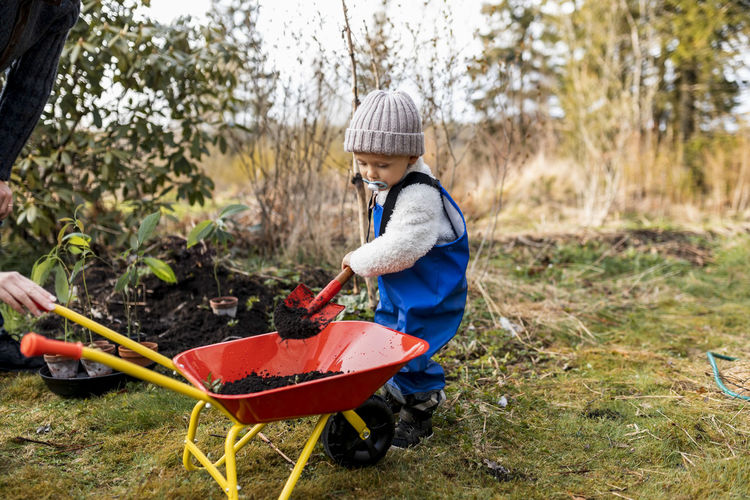 Full length of boy putting dirt with shovel in wheelbarrow at back yard