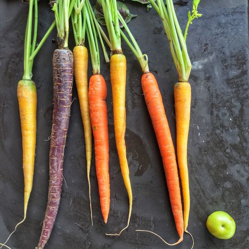 High angle view of colorful vegetables on slate