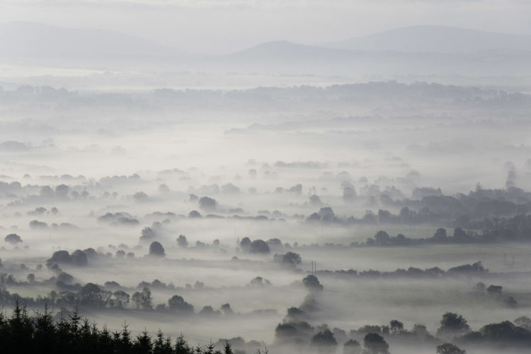 Scenic view of mist covered landscape