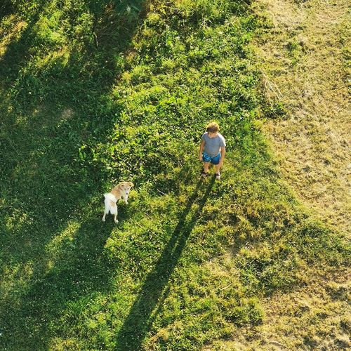High angle view of dog and boy standing on land