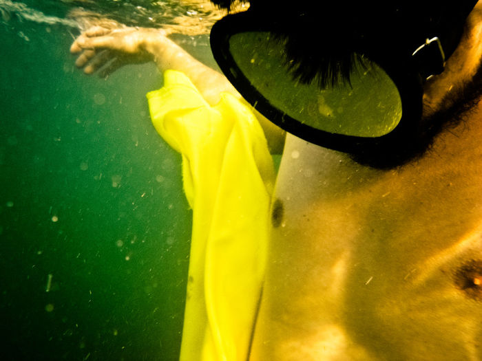 Close-up of yellow swimming underwater