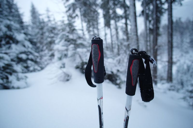 Close-up of ski poles snow covered land
