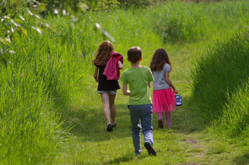 Rear view of children walking on grassy field in park