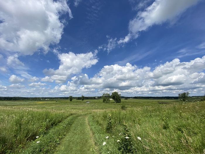 Scenic view of field against sky
