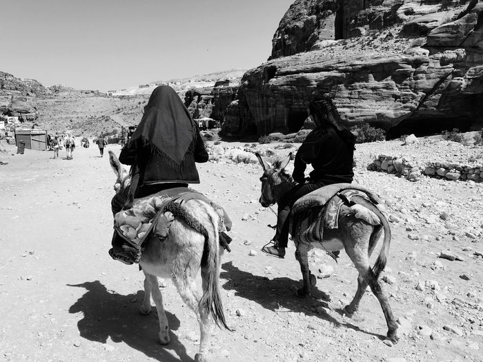 Rear view of tourists riding on donkeys at petra against clear sky
