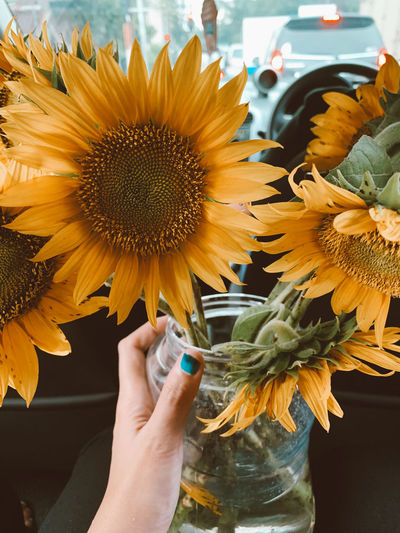 Low angle view of hand holding sunflower