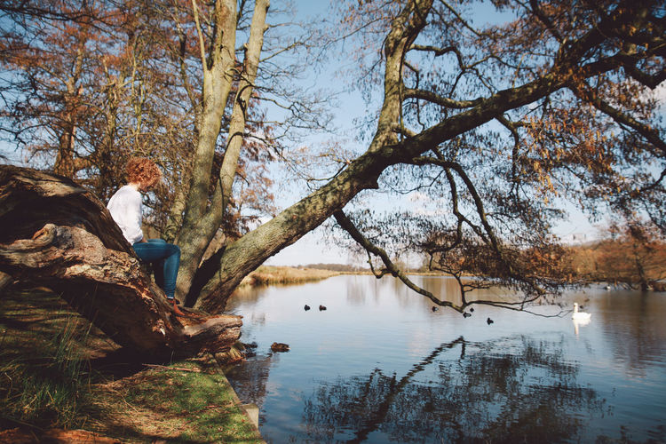 Woman sitting on branch at lakeshore in richmond park