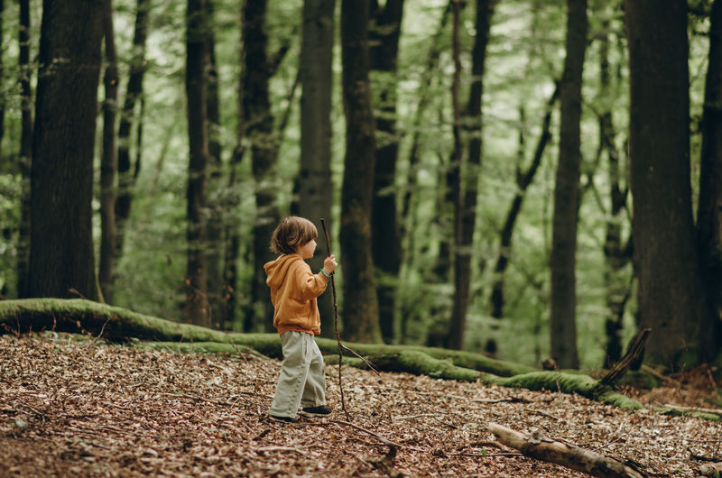 Rear view of boy in forest