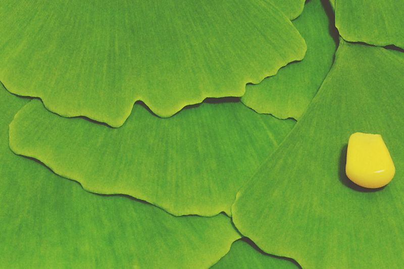 Full frame shot of green leaves