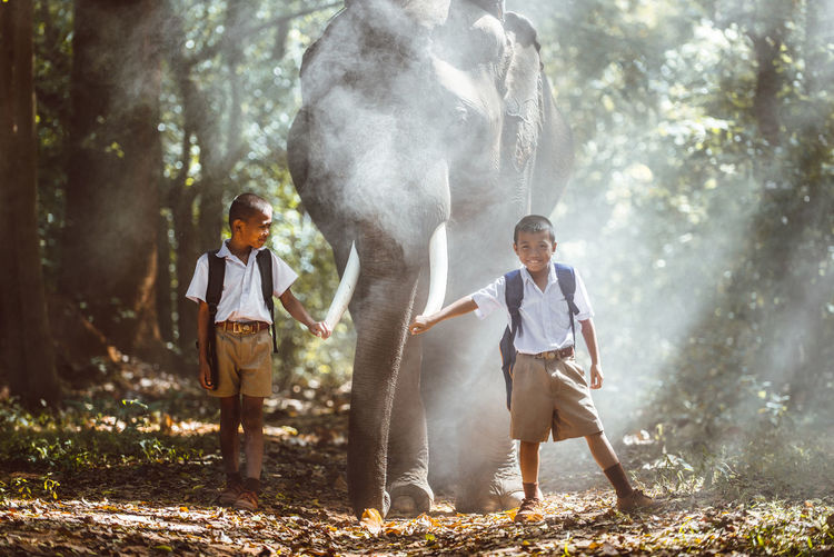 Full length of schoolboys standing by elephant in forest