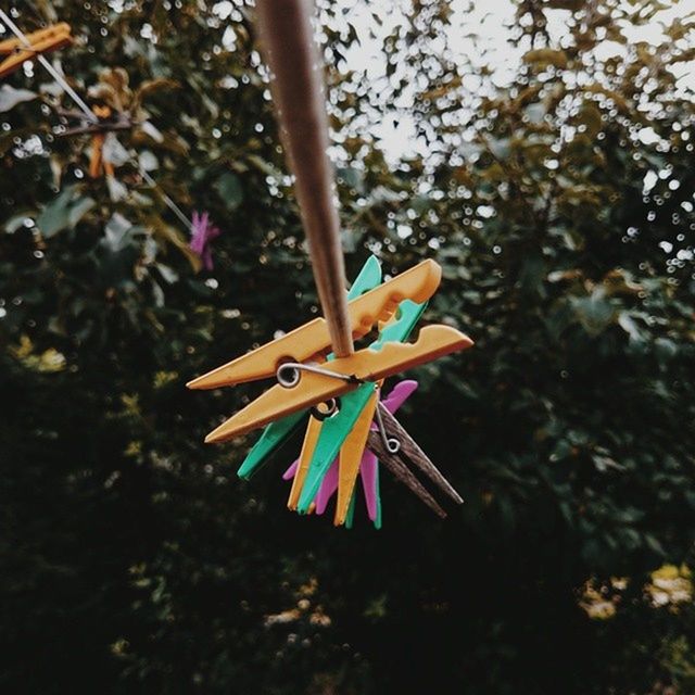 Close-up of clothespin