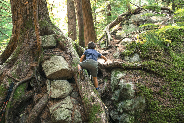 Young boy climbing up tree roots and rocks in the wilderness.