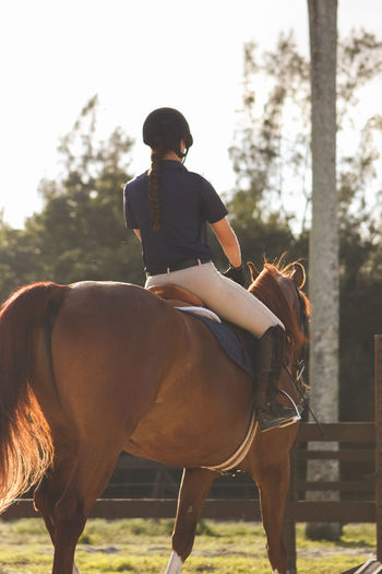 Rear view of female jockey riding horse