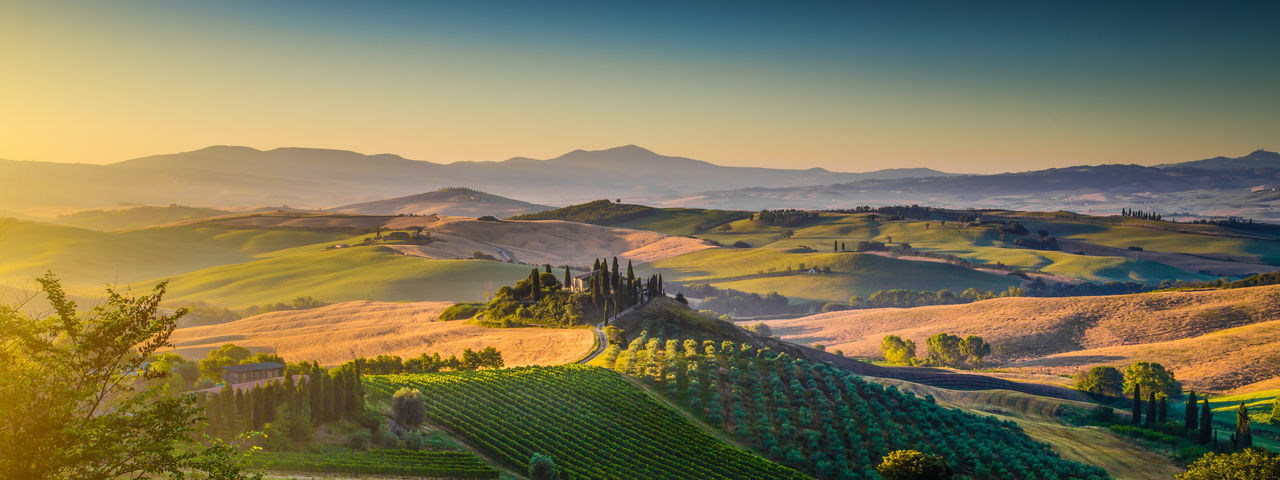 Scenic view of field against clear sky during sunrise