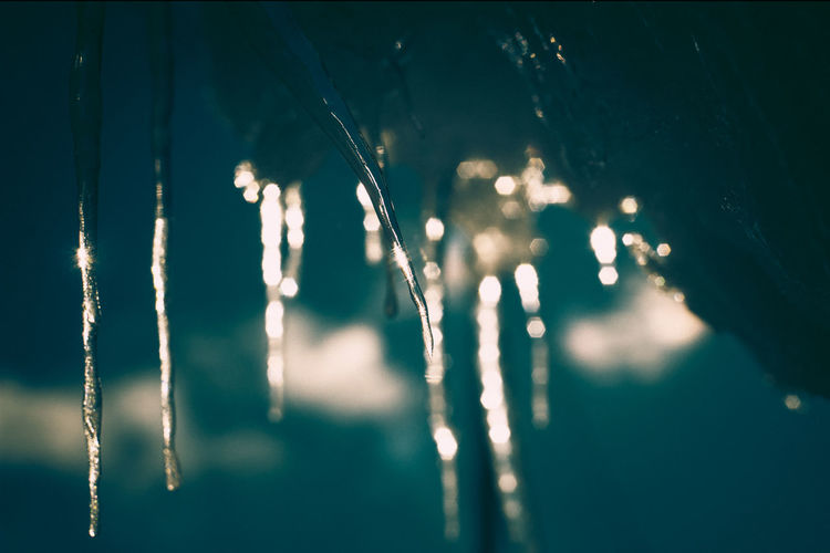 Close-up of icicles at night