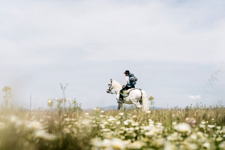 Young woman riding horse on meadow during sunny day