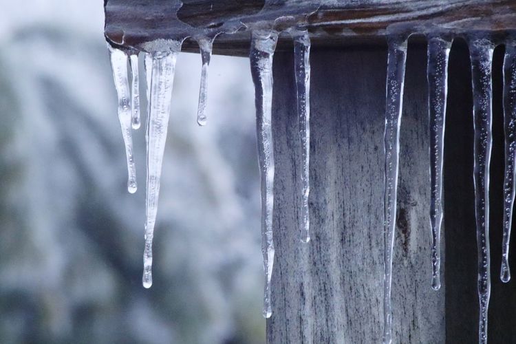 Close-up of icycles