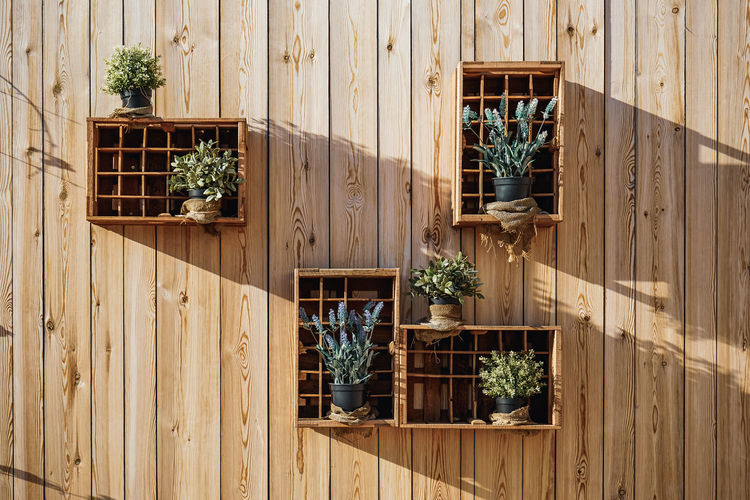 Potted plants on wooden shelves