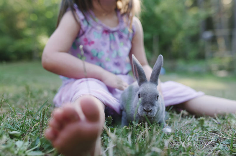 Low section of girl playing with rabbit while sitting on grassy field at park