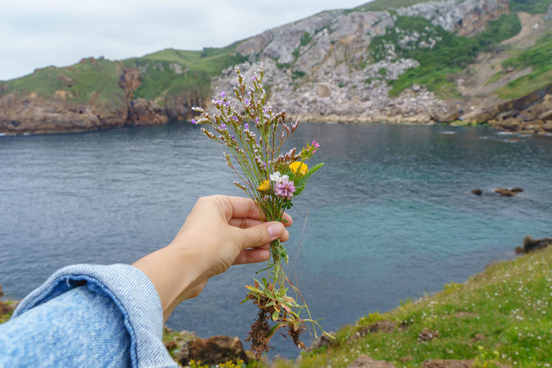 Person hand holding flowering plant against mountain
