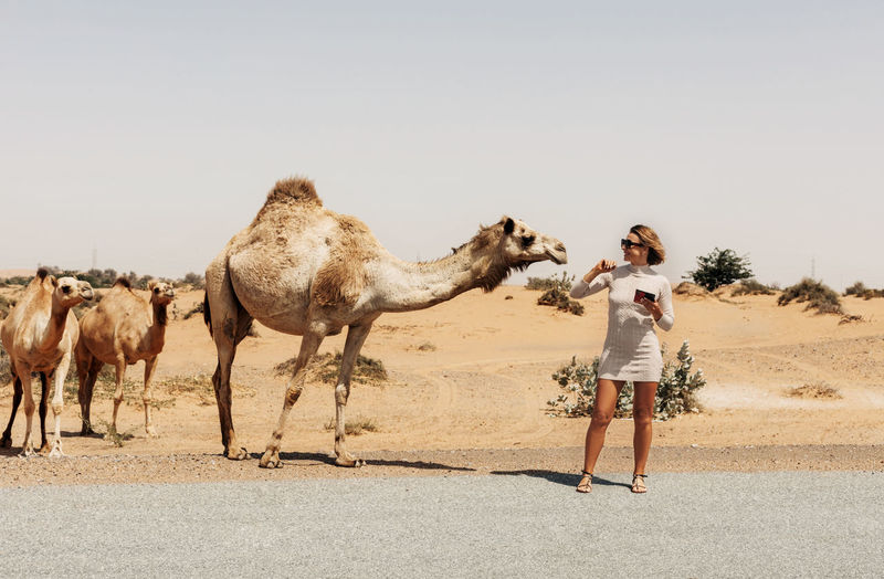 Woman standing by camel