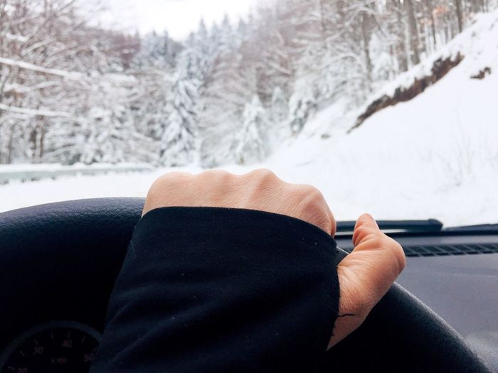 Cropped hand driving car against bare trees during winter