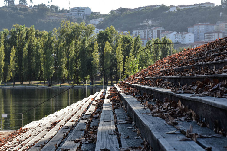 Railroad tracks amidst trees and plants