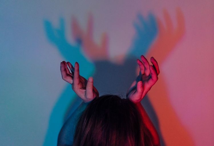 Reindeer. Sckmjnglblls Shadow Playing With Shadows Abstract Reindeer Adults Only One Person One Woman Only Only Women Adult People Indoors Human Body Part Women Multi Colored Fresh On Market 2018