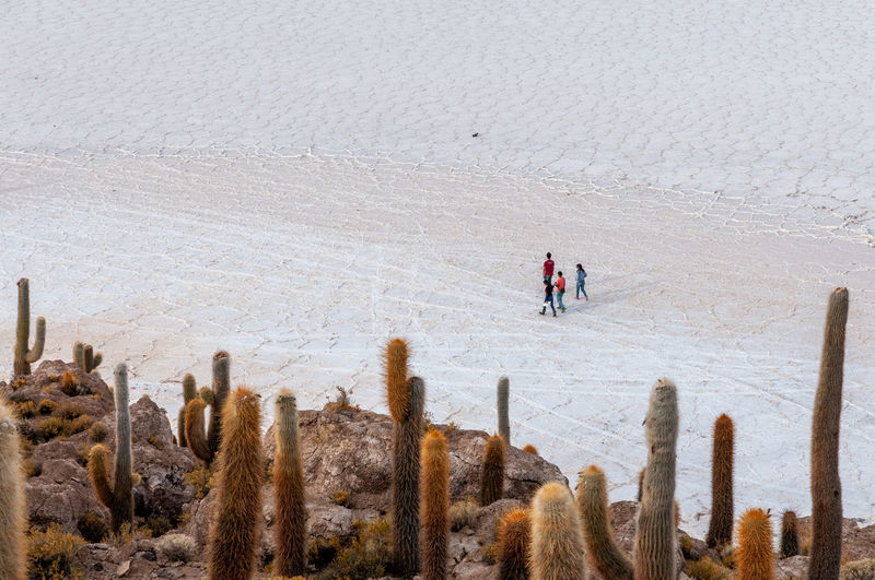 Panoramic shot of people on land during winter