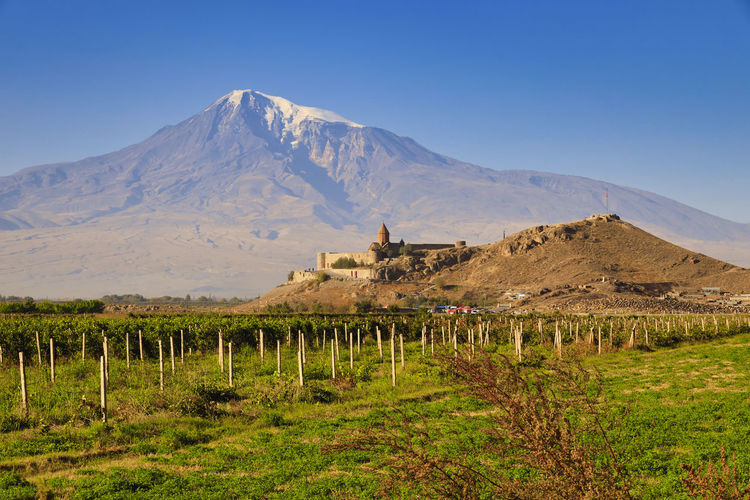Scenic view of field against clear sky, monastery khor virap and mountain ararat in armenia