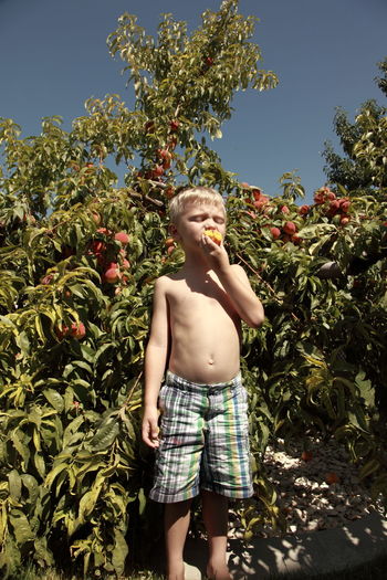 Cute boy eating peach on field
