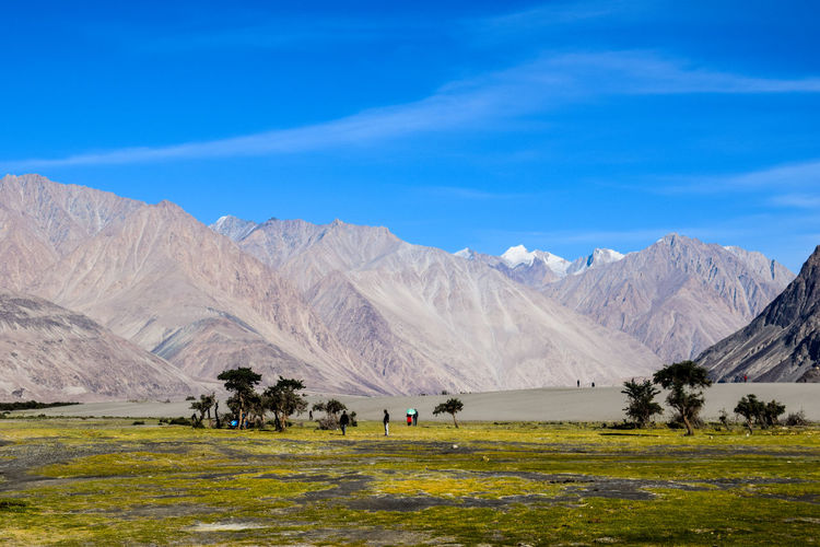 Scenic view of field and mountains against blue sky