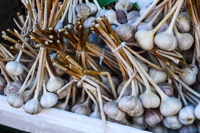 Close-up of garlics