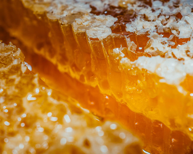 Full frame shot of orange