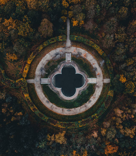 High angle view of plants during autumn