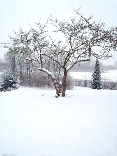 Scenic view of snow covered landscape