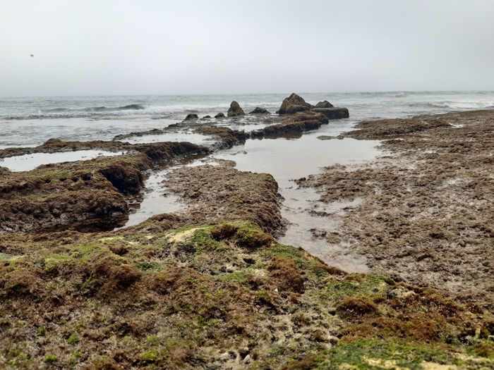 Scenic view of rocks on beach against sky
