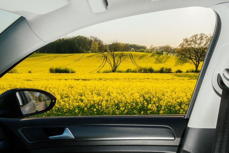 Scenic view of field seen through car window