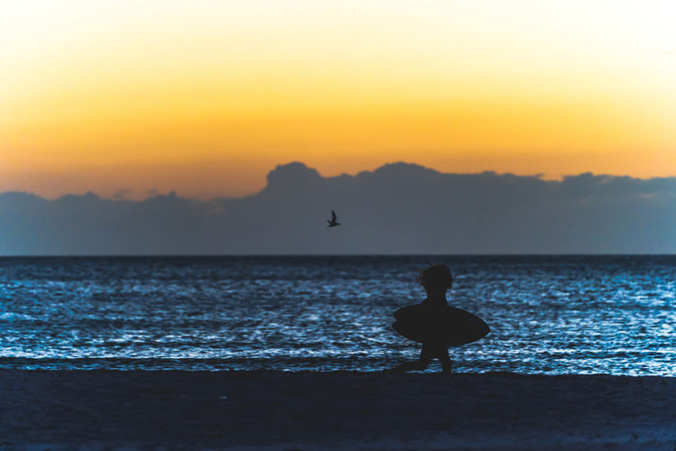 Silhouette birds flying over sea during sunset