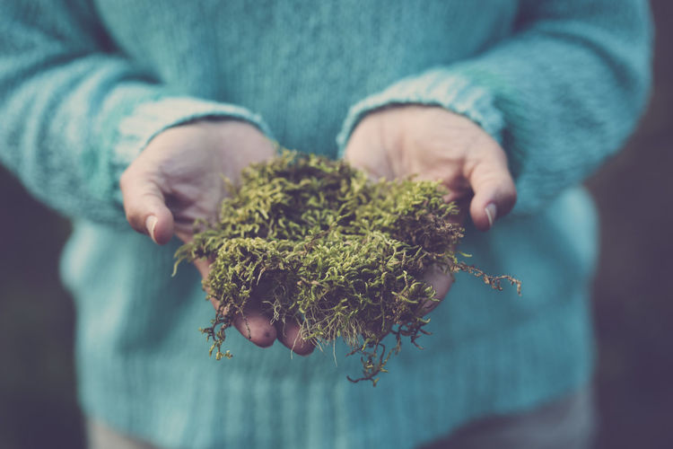 Close-up of hand holding plant