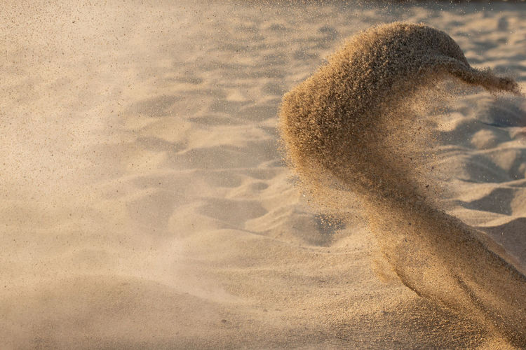 Throwing sand, forming the figure of a dolphin or a bird.