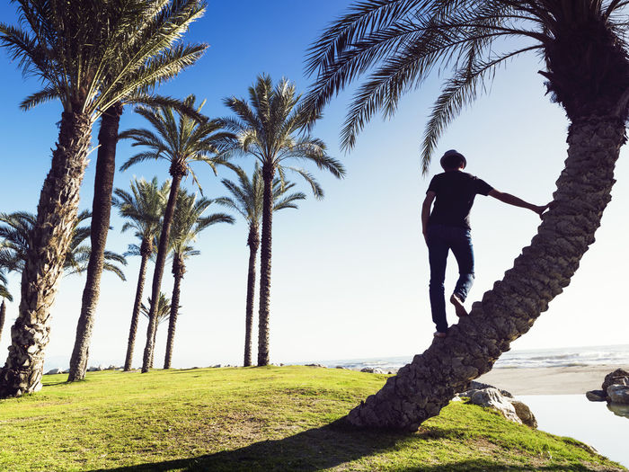 Man on a palm tree in alamos beach, torremolinos, malaga, spain